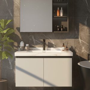 Pristine Modern Vanity Set